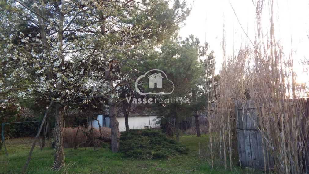 Na predaj vidiecky dom v Nesvadoch -Aňala 2381 m2  vhodné pre chov zvierat .