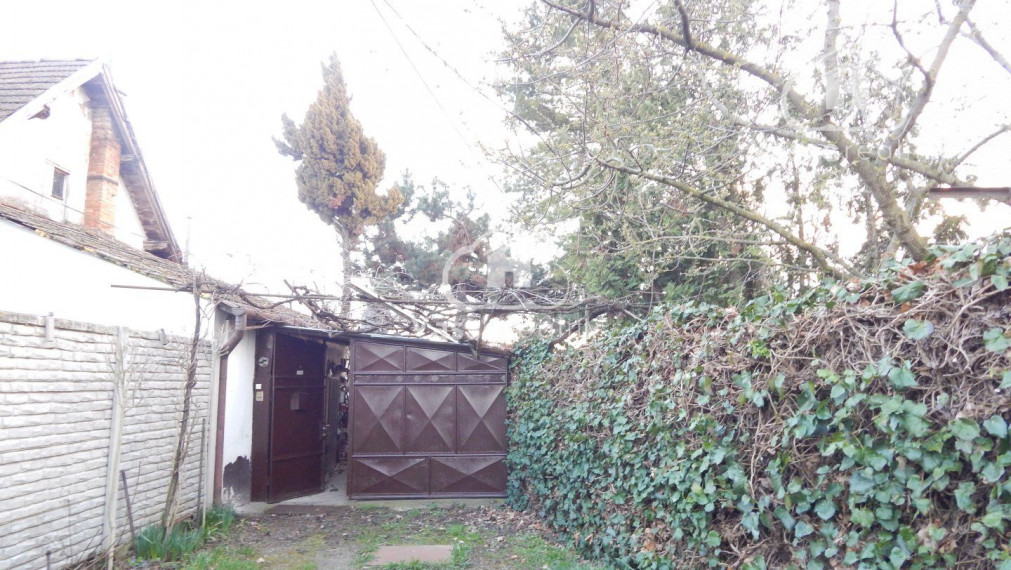 Na predaj vidiecky dom v Nesvadoch -Aňala 2381 m2  vhodné pre chov zvierat .