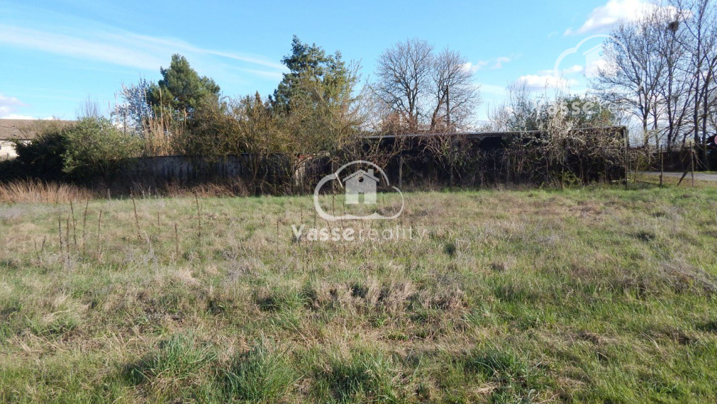 Na predaj vidiecky dom v Nesvadoch -Aňala 2381 m2  vhodné pre chov zvierat .