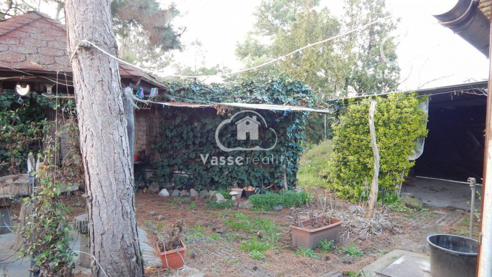 Na predaj vidiecky dom v Nesvadoch -Aňala 2381 m2  vhodné pre chov zvierat .