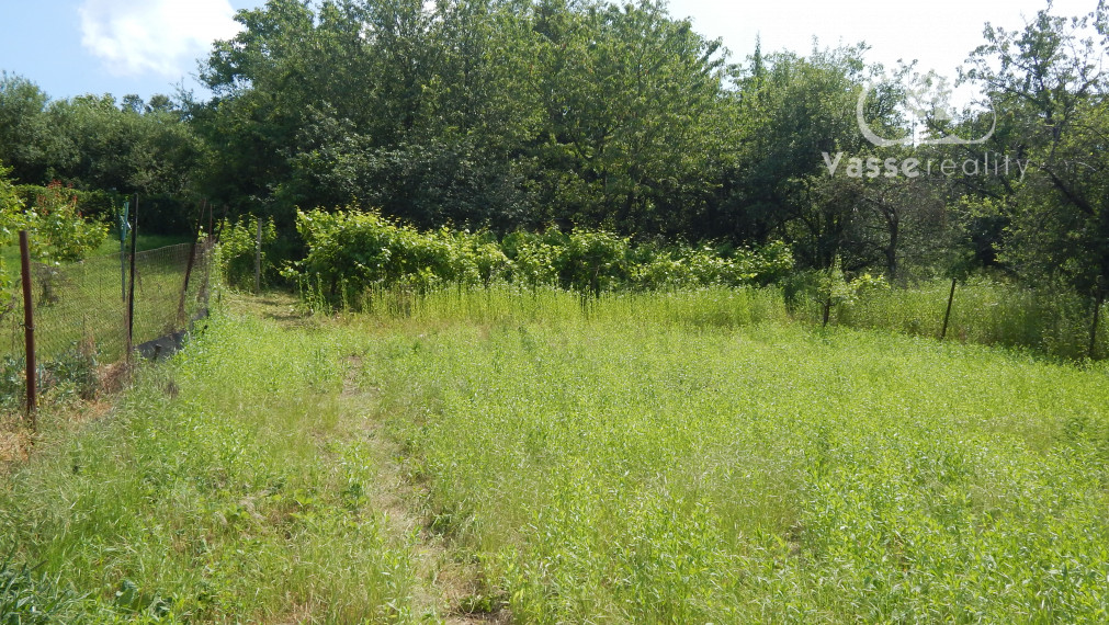 Rezervované !Na predaj ihneď obývateľný 3 izbový dom v Bajtave pri Štúrove !