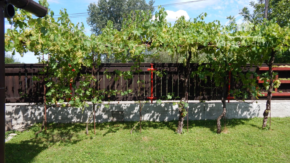 Na predaj dom v Klížskej Nemej, len 18 km od Veľkého Medera vhodný ako chalupa.