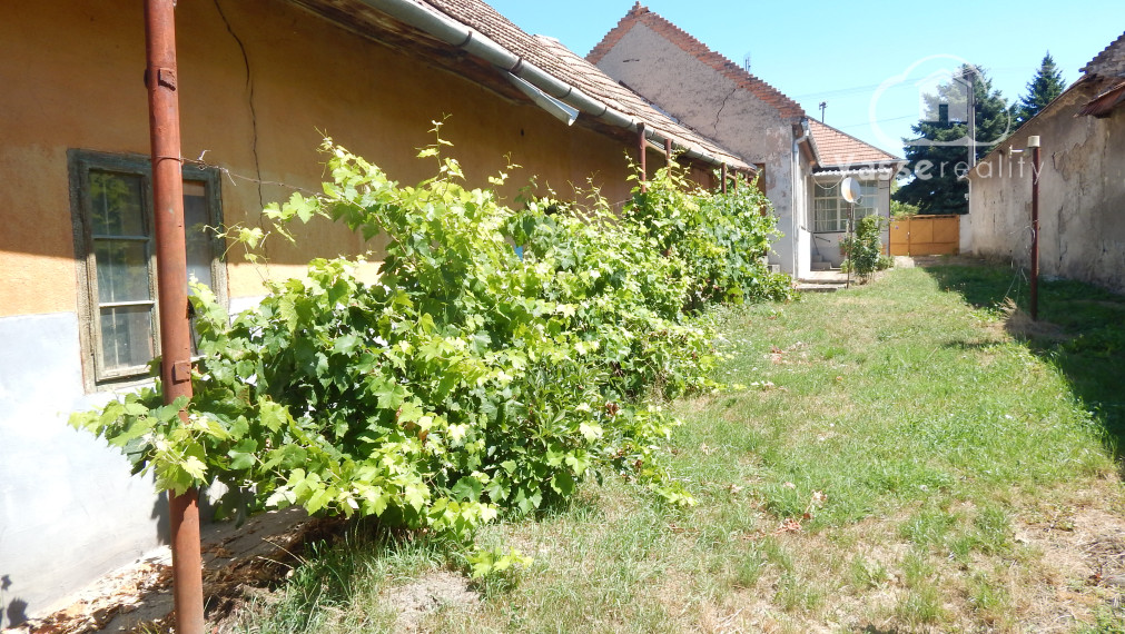 Na predaj 4 izbový dom vhodný aj ako chalupa v Malých Kosihách, 16 km od Štúrova.