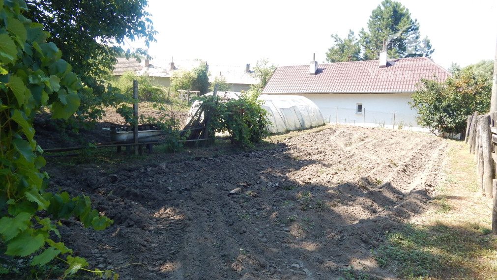 Na predaj chalupa  v Dubníku pri Štúrove  .