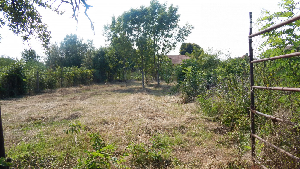 Na predaj 5 izbový dvojgeneračný dom v Salke pri Štúrove !