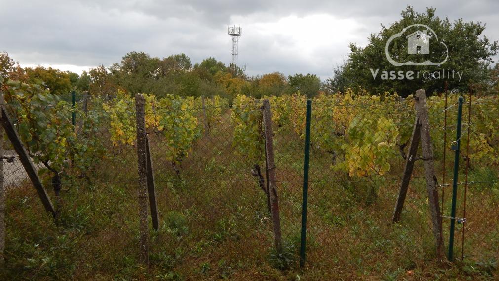 Chata vhodná na celoročné bývanie v Trávnici pri Podhájskej .