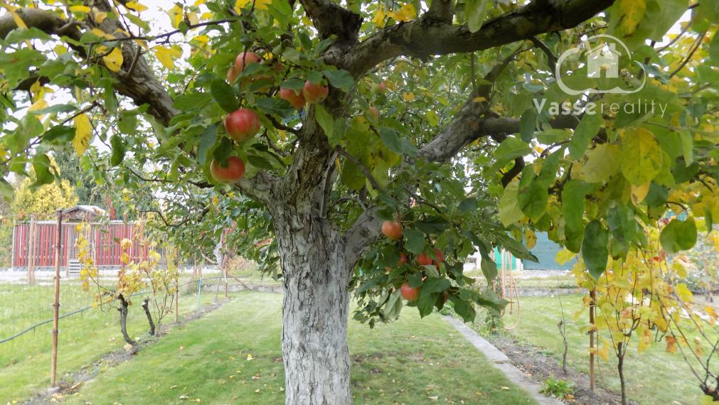 Na predaj chatka v príjemnej lokalite Svit pri  Nových Zámkoch .