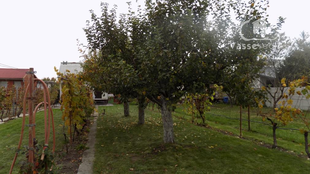 Na predaj chatka v príjemnej lokalite Svit pri  Nových Zámkoch .