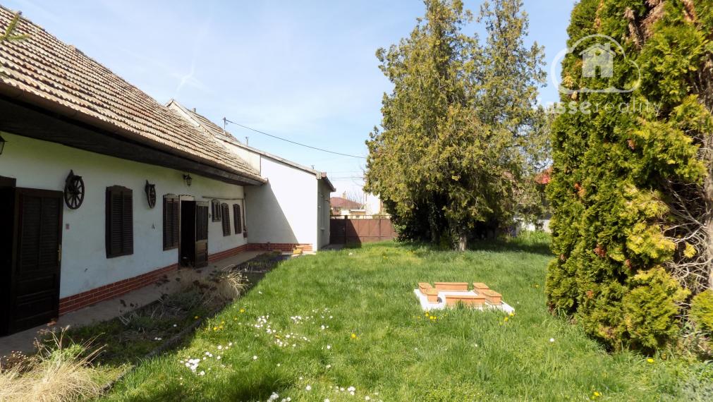 Pozemok 1715 m2 na stavbu domu v obci Tvrdošovce  so starším domom na predaj .