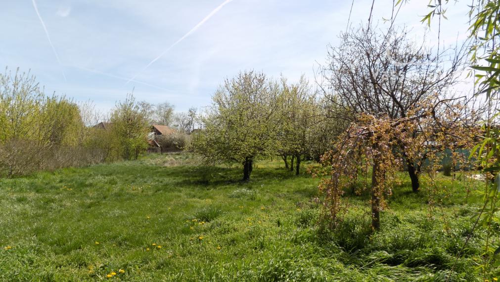 Pozemok 1715 m2 na stavbu domu v obci Tvrdošovce  so starším domom na predaj .