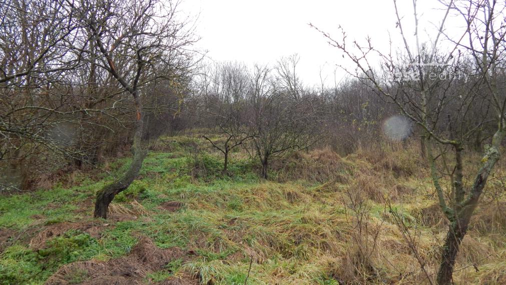 Na predaj 3 izbový rodinný dom v Dubníku pri Nových Zámkoch.