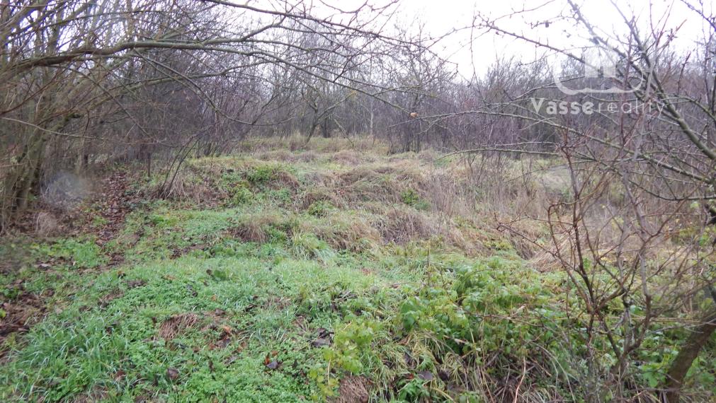 Na predaj 3 izbový rodinný dom v Dubníku pri Nových Zámkoch.