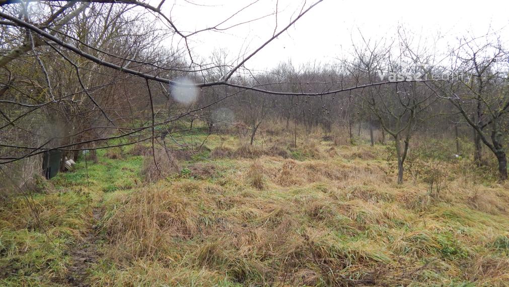 Na predaj 3 izbový rodinný dom v Dubníku pri Nových Zámkoch.