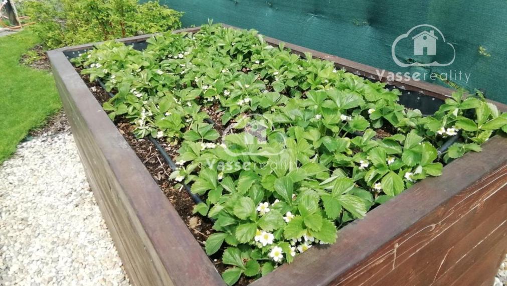 Na predaj chata s bazénom  v lokalite Ozón  pri Nových Zámkoch .