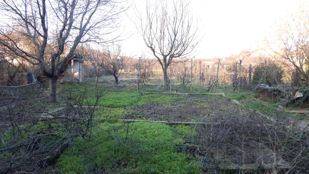 Na predaj 3 izbový rodinný dom v Šuranoch.