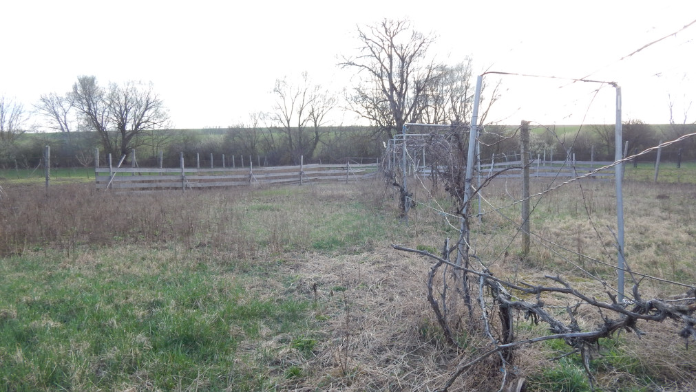 Na predaj dlhý 2 izbový vidiecky dom v Kolte, 20 km od Nových Zámkov.