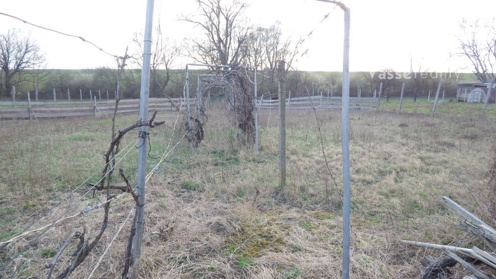 Na predaj dlhý 2 izbový vidiecky dom v Kolte, 20 km od Nových Zámkov.