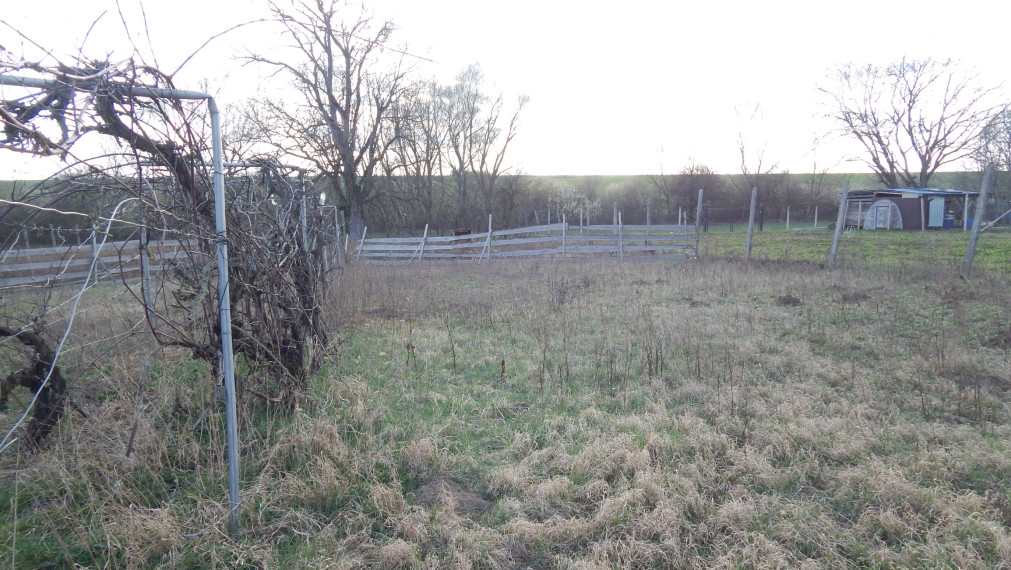 Na predaj dlhý 2 izbový vidiecky dom v Kolte, 20 km od Nových Zámkov.