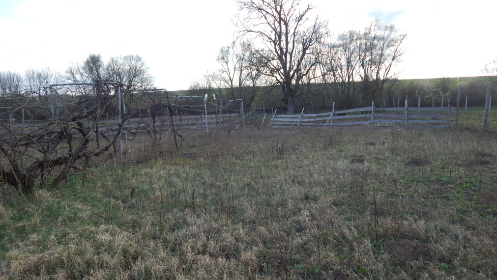 Na predaj dlhý 2 izbový vidiecky dom v Kolte, 20 km od Nových Zámkov.