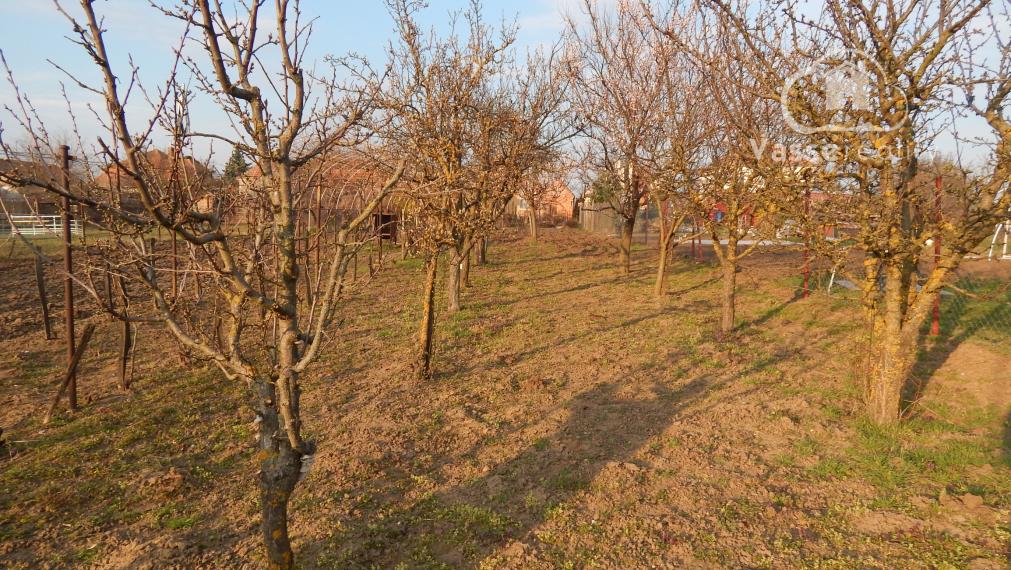 Na predaj 2 izbový  tehlový rodinný dom v Pribete, 18 km od Nových Zámkov.