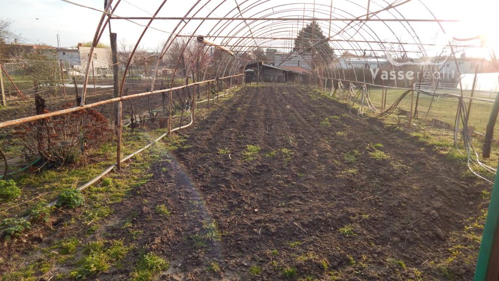 Na predaj 2 izbový  tehlový rodinný dom v Pribete, 18 km od Nových Zámkov.