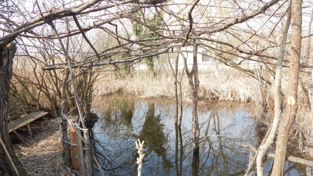 Vaša súkromná oáza pokoja: Zariadená chata s prístupom k rieke pri Martovciach .