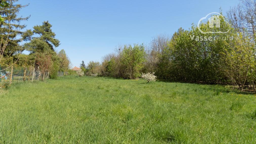 Na predaj 4 izb.dom s veľkou záhradou   3304 m2 v Rúbani  .