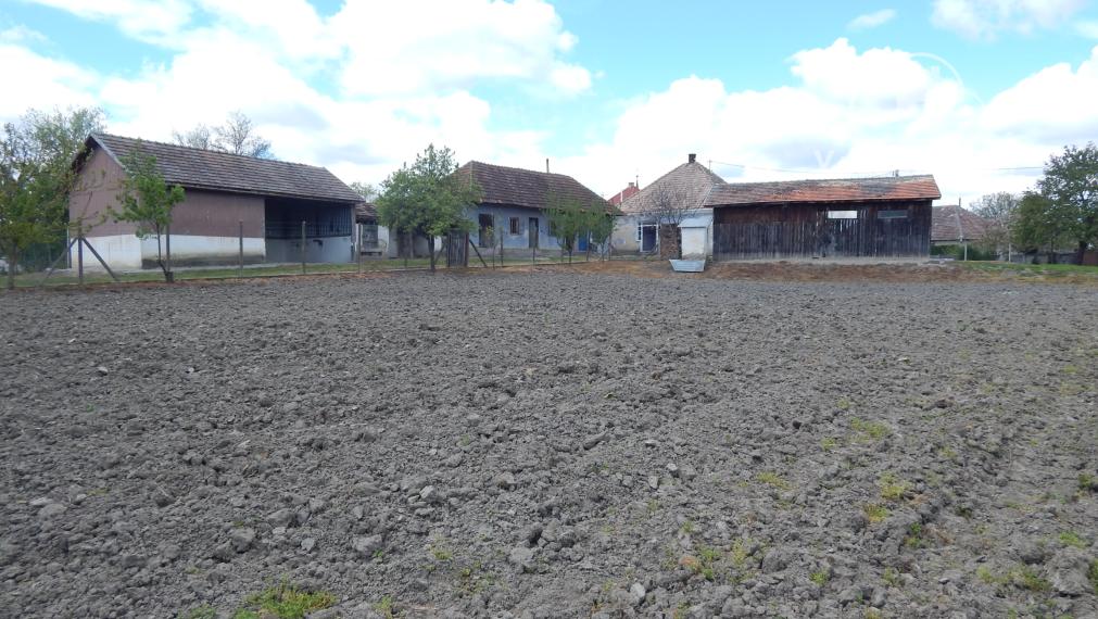 Na predaj vidiecka usadlosť so starším domom, hospodárskymi budovami a pozemkom 2104 m2  v obci  Martovce.