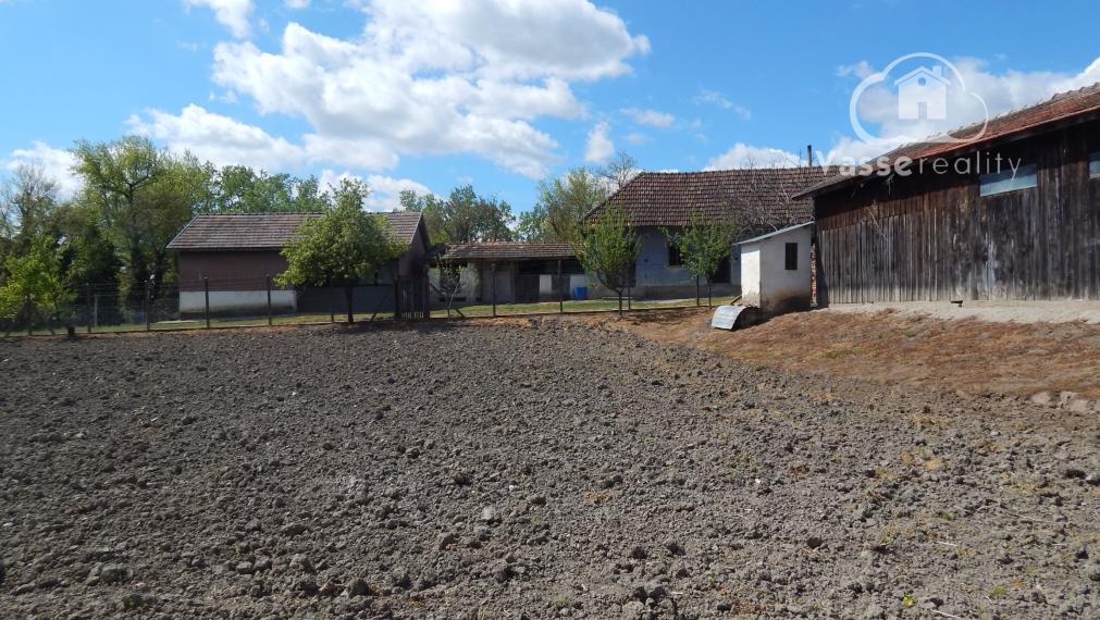 Na predaj vidiecka usadlosť so starším domom, hospodárskymi budovami a pozemkom 2104 m2  v obci  Martovce.