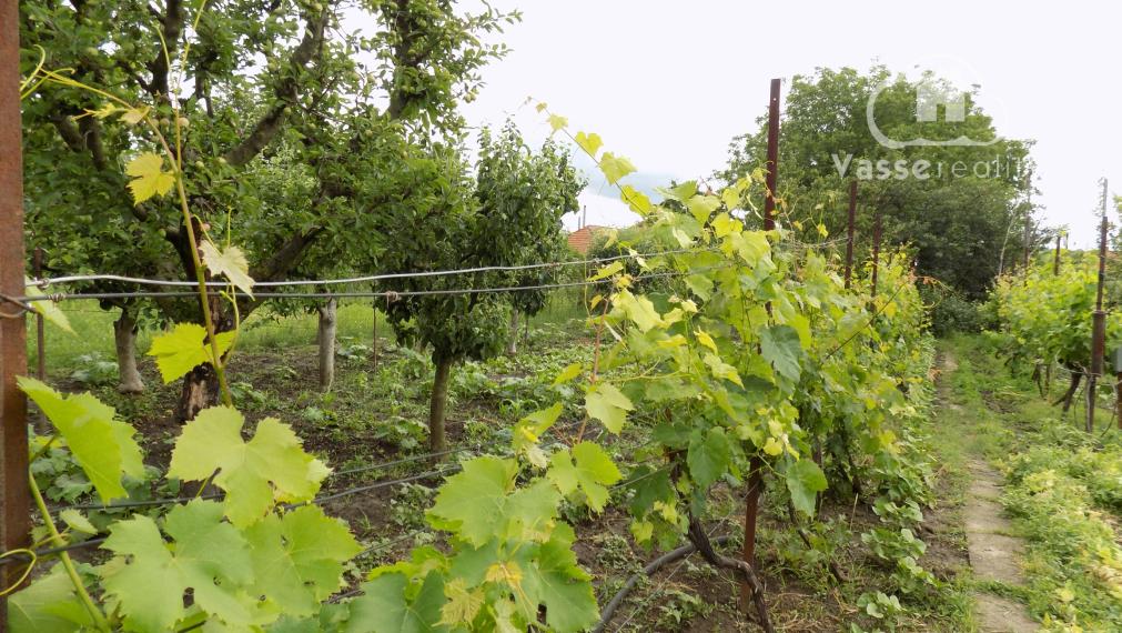 Na predaj tehlový dom v Strekove pri žel.stanici.