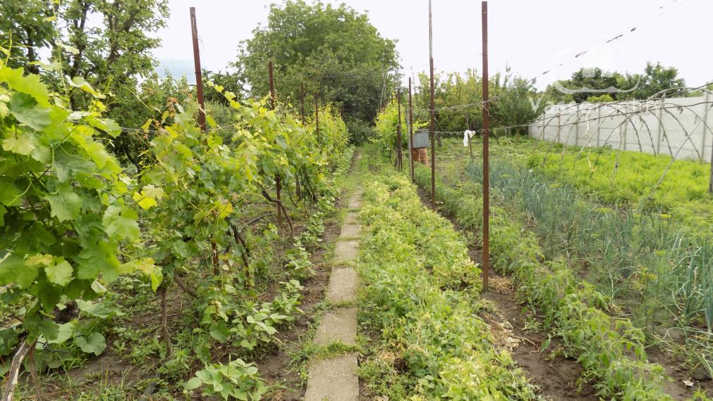 Na predaj tehlový dom v Strekove pri žel.stanici.