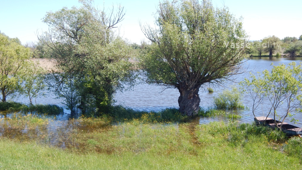 Z vlastného pozemku sa môžete vydať člnom na prieskum okolitej vodnej ríše-Martovce