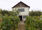 Na predaj viničný domček s vinicou pri Štúrove - fotografia 1