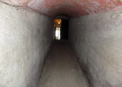 Na predaj viničný domček s vinicou pri Štúrove - fotografia 9