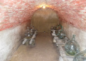 Na predaj viničný domček s vinicou pri Štúrove - fotografia 10