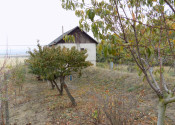 Na predaj viničný domček s vinicou pri Štúrove - fotografia 16