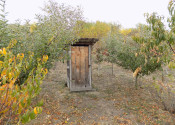 Na predaj viničný domček s vinicou pri Štúrove - fotografia 13