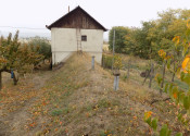 Na predaj viničný domček s vinicou pri Štúrove - fotografia 14