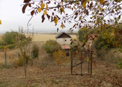 Na predaj viničný domček s vinicou pri Štúrove - fotografia 18