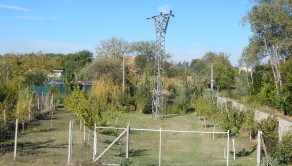 Z vlastného pozemku sa môžete vydať člnom na prieskum okolitej vodnej ríše-Martovce - fotografia 1