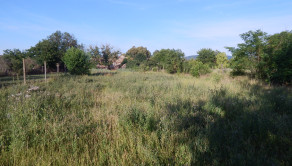 Pozemok s výmerou 928 m² v obci Malé Kosihy (okres Nové Zámky) - fotografia 1