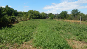 Pozemok s výmerou 928 m² v obci Malé Kosihy (okres Nové Zámky) - fotografia 3