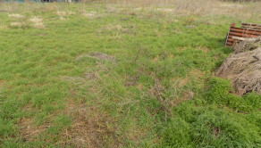 Výrazná zľava pozemku na predaj v Andovciach 1124m2. - fotografia 6
