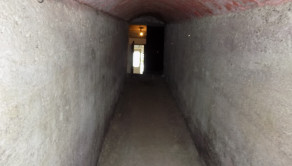 Na predaj viničný domček s vinicou pri Štúrove - fotografia 9