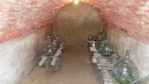 Na predaj viničný domček s vinicou pri Štúrove - fotografia 10