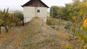 Na predaj viničný domček s vinicou pri Štúrove - fotografia 14