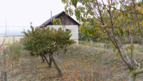 Na predaj viničný domček s vinicou pri Štúrove - fotografia 17