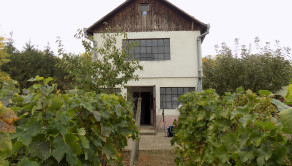 Na predaj viničný domček s vinicou pri Štúrove - fotografia 20