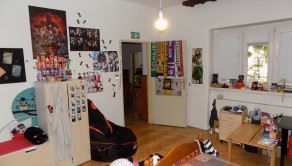 Tehlový dom s obytným podkrovím v Zemianskej Olči s peknou záhradou - fotografia 15
