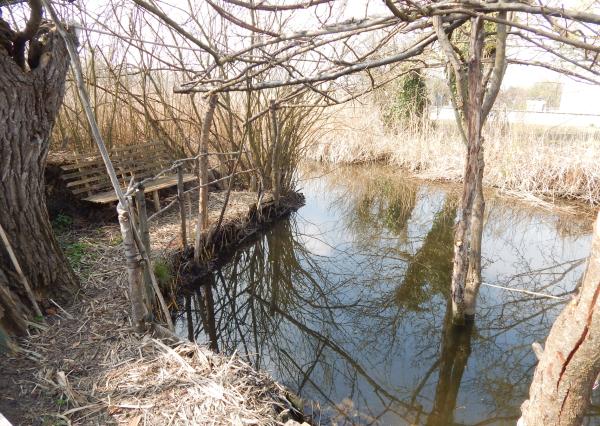 Z vlastného pozemku sa môžete vydať člnom na prieskum okolitej vodnej ríše-Martovce